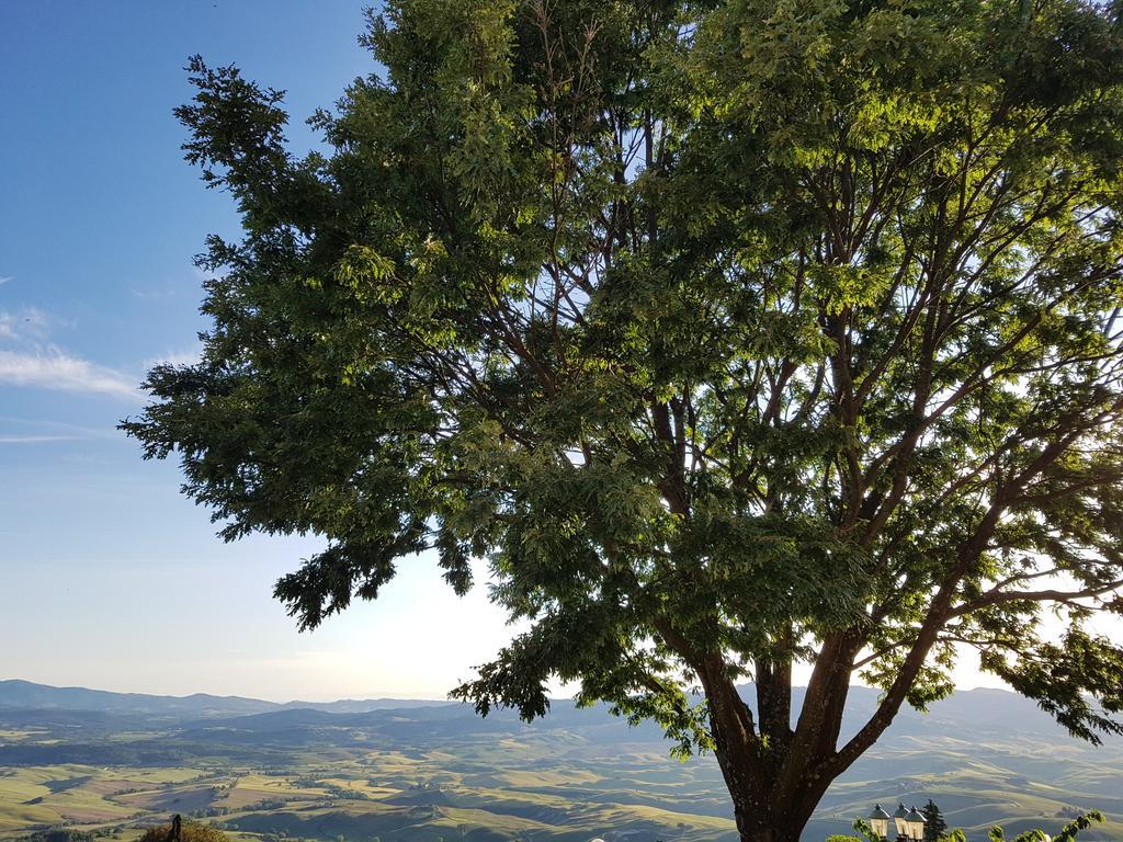 Villa Nencini Volterra Zewnętrze zdjęcie