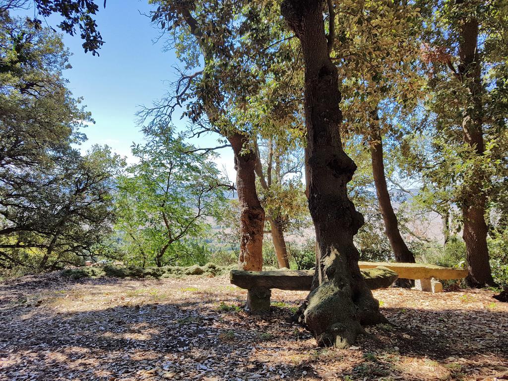 Villa Nencini Volterra Zewnętrze zdjęcie